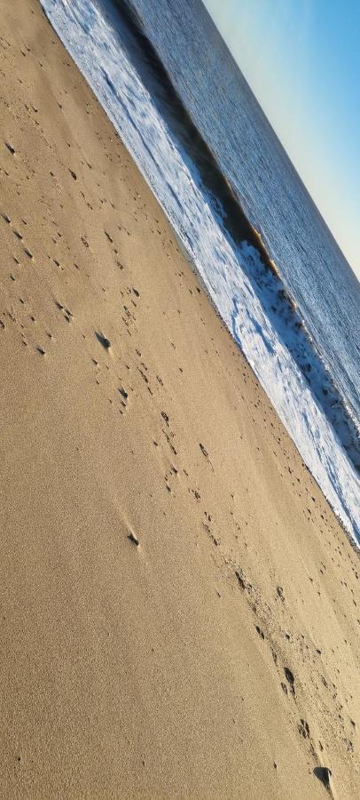 Twin Palms Guesthouse Great Yarmouth Exteriör bild