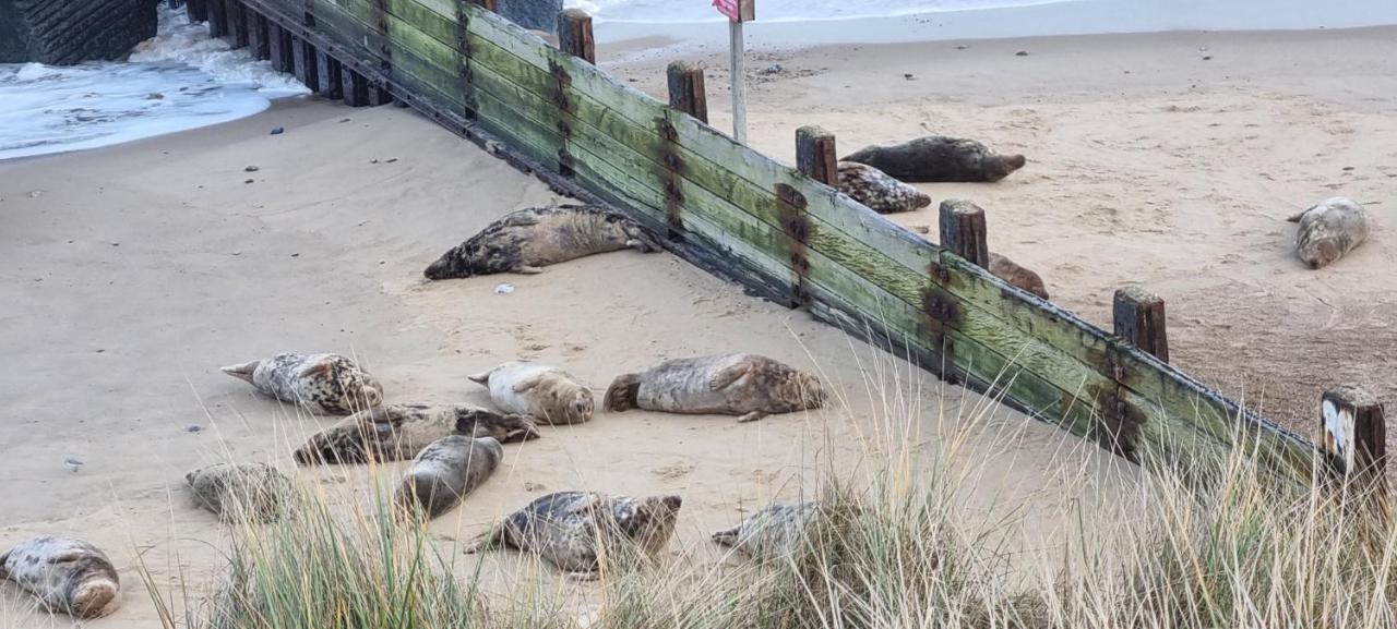 Twin Palms Guesthouse Great Yarmouth Exteriör bild